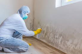 Best Emergency Mold Remediation  in Cullowhee, NC