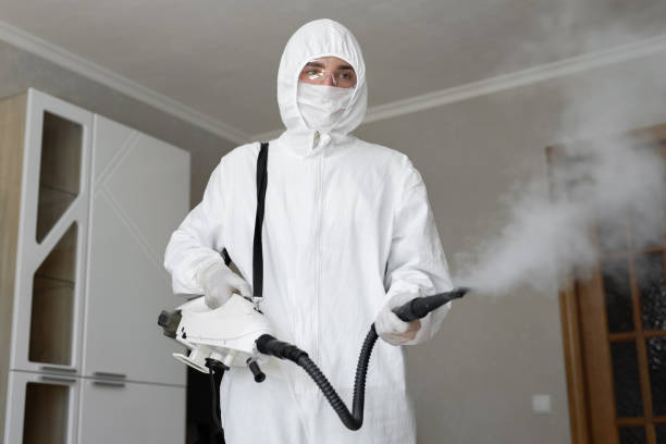 Best Mold Odor Removal Services  in Cullowhee, NC